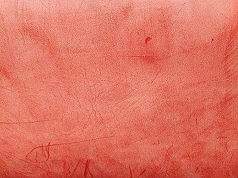 《宝可梦：大集结》新宝可梦“苍炎刃鬼”公布 6月13日上线